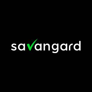 Usługi it dla firm - Systemy IT dla biznesu - Savangard